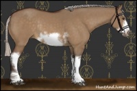 Horse Color:White Spotted Silver Bay Dun Sabino Frame Rabicano