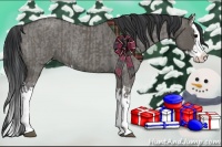 Horse Color:Grullo Splash  and Grullo Roan Splash 