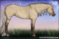 Horse Color:Silver Bay Dun and Silver Bay Roan Dun