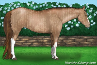 Horse Color:Liver Chestnut Pearl and Gray Liver Chestnut Pearl
