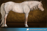 Horse Color:Liver Red Roan Pearl and Liver Red Roan Pearl
