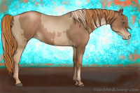 Horse Color:Liver Chestnut Pearl and Gray Liver Chestnut Pearl