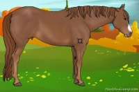 Horse Color:Chestnut Frame 