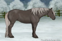 Horse Color:Silver Black 