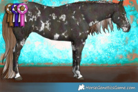 Horse Color:White Spotted Midnight Brown Ice Pearl and White Spotted Midnight Liver Chestnut Ice Pearl
