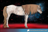 Horse Color:Liver Chestnut Ice  and Liver Chestnut Ice Pearl 