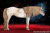 Horse Color:Liver Chestnut Ice and Liver Chestnut Ice Pearl