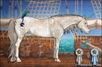 Horse Color:White Spotted Liver Red Dun Pearl Rabicano and White Spotted Chocolate Palomino Pearl Tobiano