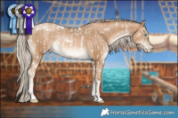 Horse Color:White Spotted Liver Red Dun Pearl Rabicano  and White Spotted Chocolate Palomino Snowdrop Tobiano 