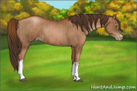 Horse Color:Gray Liver Chestnut Pearl  and Gray Liver Chestnut Pearl 
