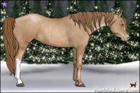 Horse Color:Liver Chestnut Pearl  and Liver Chestnut Pearl 