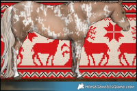 Horse Color:White Spotted Liver Chestnut Pearl  and White Spotted Liver Chestnut Pearl 