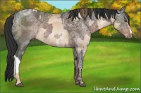 Horse Color:Liver Chestnut Ice Pearl and Liver Chestnut Ice