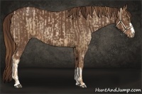 Horse Color:Liver Chestnut Pearl and Liver Chestnut