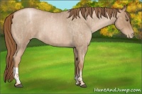 Horse Color:Liver Red Roan Pearl  and Liver Red Roan Pearl 