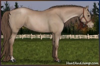 Horse Color:Black Pearl  and Black Pearl 