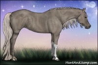 Horse Color:Silver Grullo