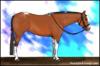 Horse Color:Bay Tobiano Frame 