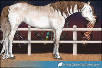 Horse Color:White Spotted Chocolate Brown Roan Pearl Dun Brindle  and White Spotted Brown Pearl Dun Splash Brindle 