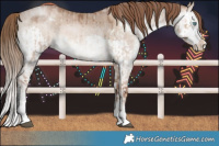 Horse Color:White Spotted Chocolate Brown Roan Pearl Dun Brindle  and White Spotted Brown Pearl Dun Splash Brindle 