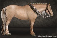 Horse Color:Brown Pearl  and Silver Brown Pearl 