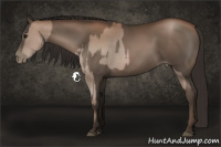 Horse Color:Black Pearl  and Gray Black Pearl 