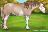 Horse Color:Liver Chestnut Pearl  and Liver Chestnut Pearl Splash 