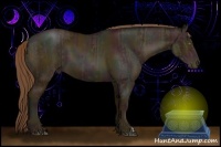 Horse Color:Midnight Brown Pearl Dun  and Midnight Brown Pearl 