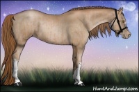 Horse Color:Liver Chestnut Pearl and Liver Chestnut Pearl