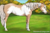 Horse Color:Silver Amber Champagne Frame 