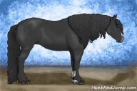 Horse Color:Black Sabino