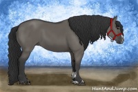 Horse Color:Grullo Sabino 