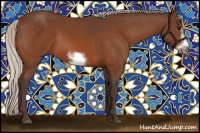 Horse Color:Silver Bay Sabino Frame 