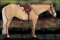 Horse Color:Silver Sable Champagne Sabino Frame