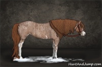 Horse Color:Red Roan Sabino and Red Roan Sabino