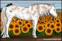 Horse Color:Chestnut Sabino Splash 