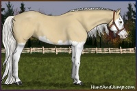 Horse Color:Silver Buckskin Roan Sabino Splash 