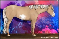 Horse Color:Silver Classic Champagne Sabino Frame 