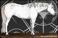 Horse Color:Silver Grullo Sabino Splash