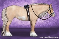 Horse Color:Silver Sable Champagne Roan Sabino Frame 