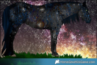 Horse Color:ERROR: UNKNOWN ANOMALY and ERROR: UNKNOWN ANOMALY