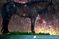 Horse Color:ERROR: UNKNOWN ANOMALY and ERROR: UNKNOWN ANOMALY