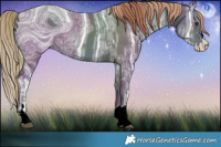 Horse Color:ERROR: UNKNOWN ANOMALY and ERROR: UNKNOWN ANOMALY