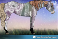 Horse Color:ERROR: UNKNOWN ANOMALY and ERROR: UNKNOWN ANOMALY