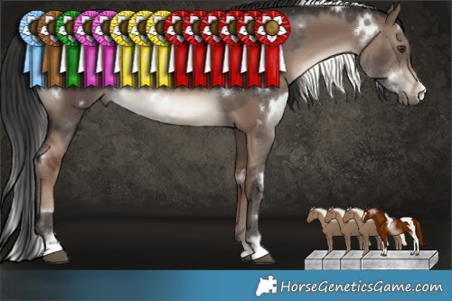 Horse Color:White Spotted Liver Red Dun Mushroom  and White Spotted Brown Dun Mushroom 