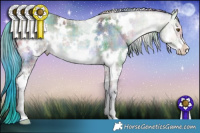 Horse Color:Nacre Plaid White Spotted Brown Onyx Sabino Rabicano Brindle