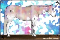Horse Color:Nacre Watercolor White Spotted Silver Buckskin Dun Sabino Splash 
