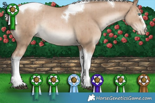 Horse Color:Silver Grullo Pearl Tobiano Rabicano Brindle 