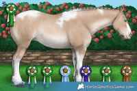 Horse Color:Silver Grullo Pearl Tobiano Rabicano Brindle 