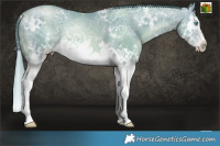 Horse Color:Watercolor White Spotted Buckskin Ice Pearl Splash Rabicano 